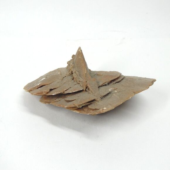 Desert Rose Selenite Natural Specimen 5" 12oz Crystal Stone Cluster Formation - Picture 1 of 11